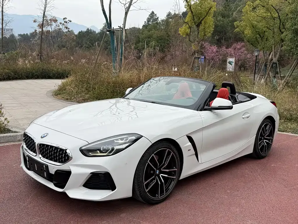 BMW Z4 — фото 1