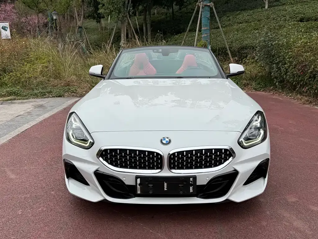 BMW Z4 — фото 2