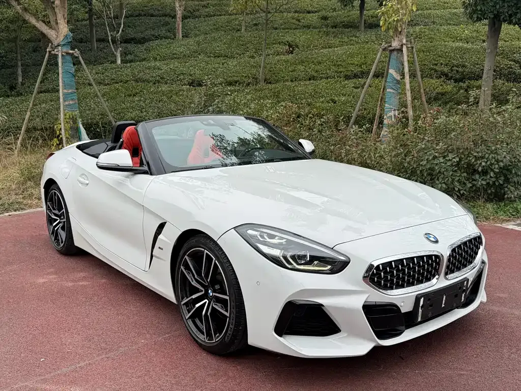 BMW Z4 — фото 6