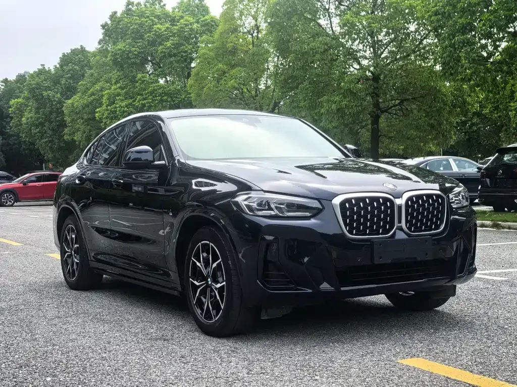 BMW X4 — фото 3