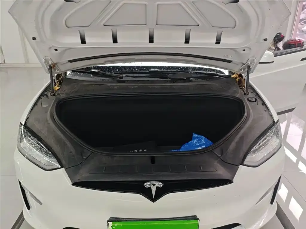 Tesla Model X — фото 10