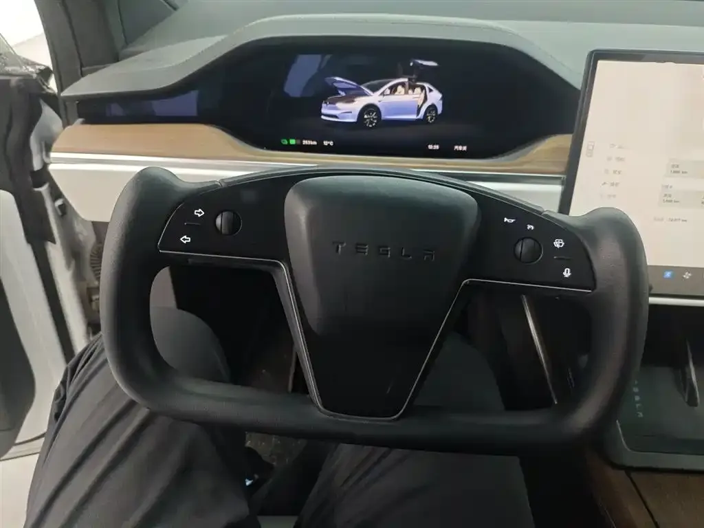 Tesla Model X — фото 4