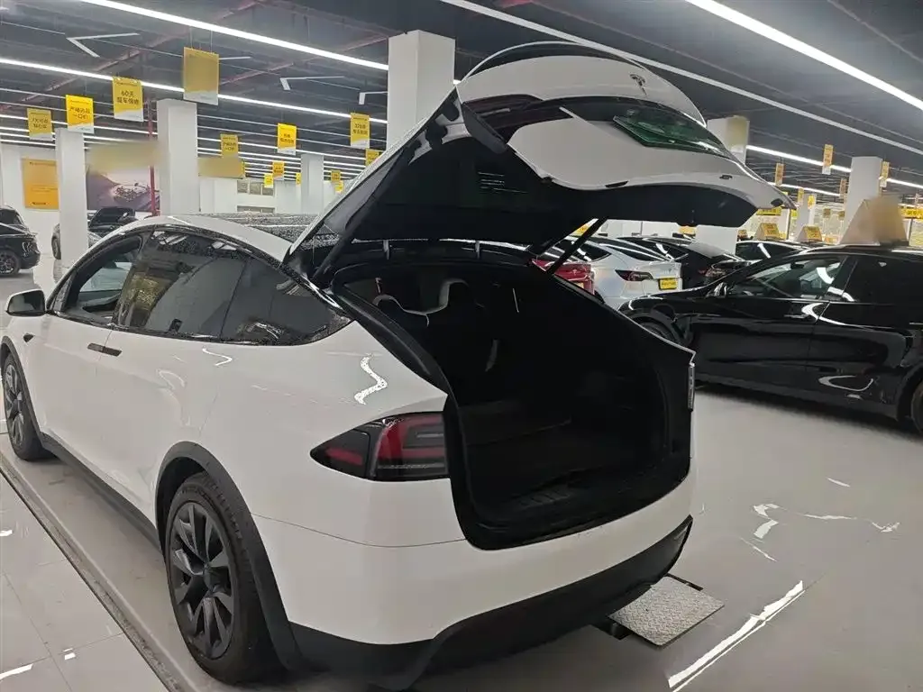 Tesla Model X — фото 6