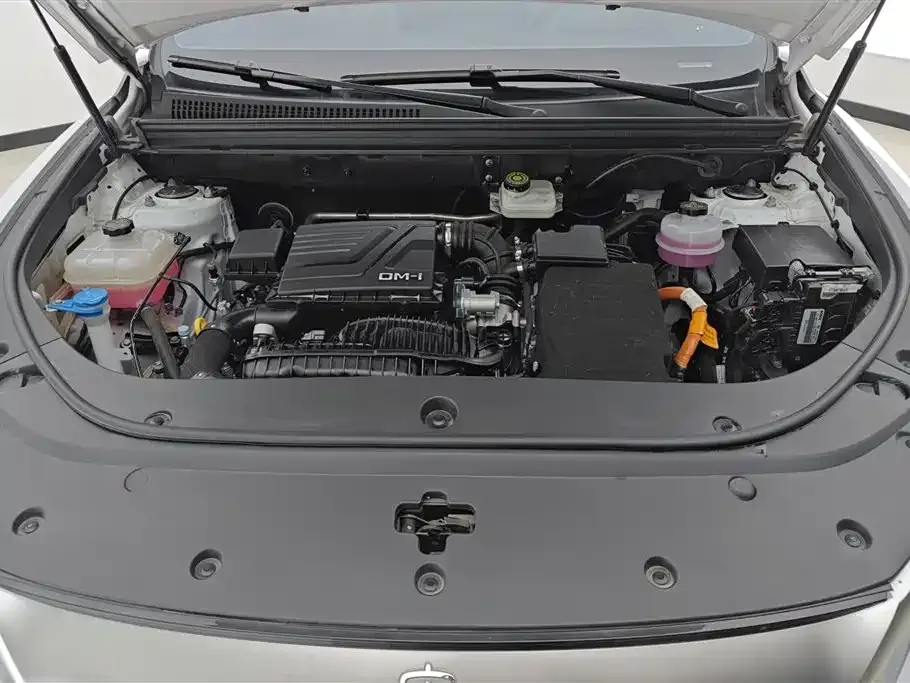 BYD Pro New Energy — фото 10