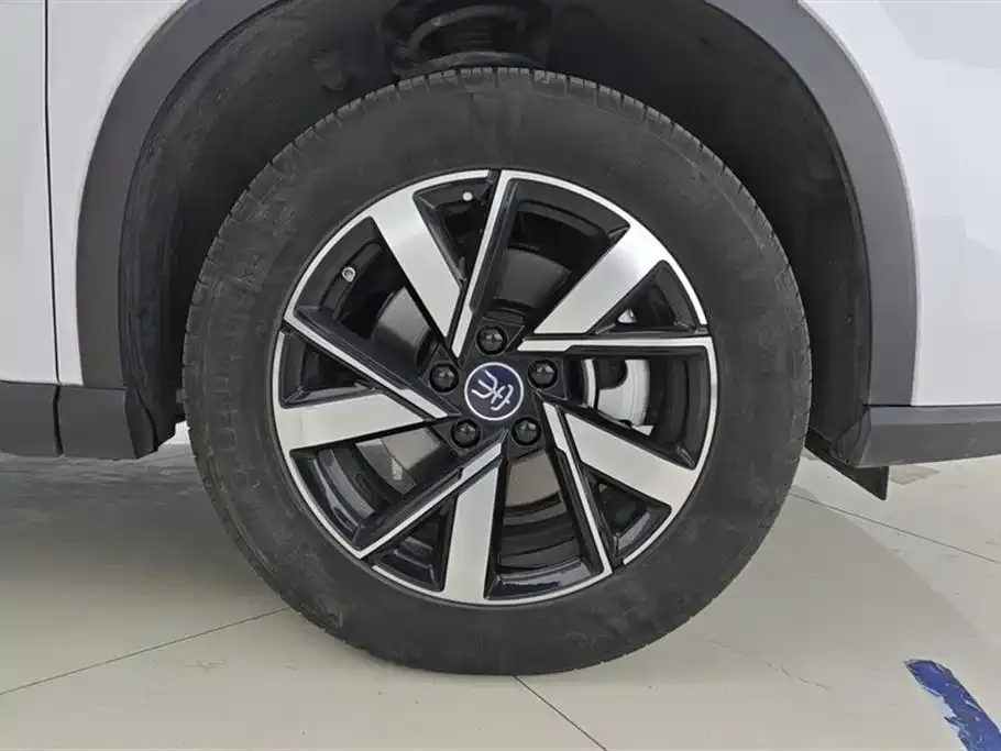 BYD Pro New Energy — фото 8