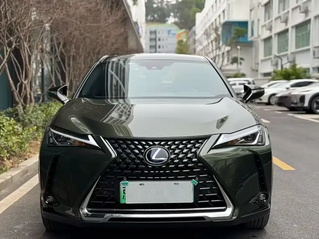 Lexus UX New Energy — фото 1
