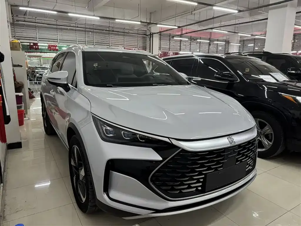 BYD Tang New Energy — фото 10