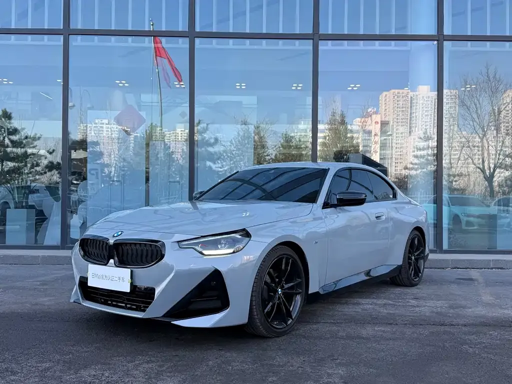 BMW 2 Series (Import) — фото 1
