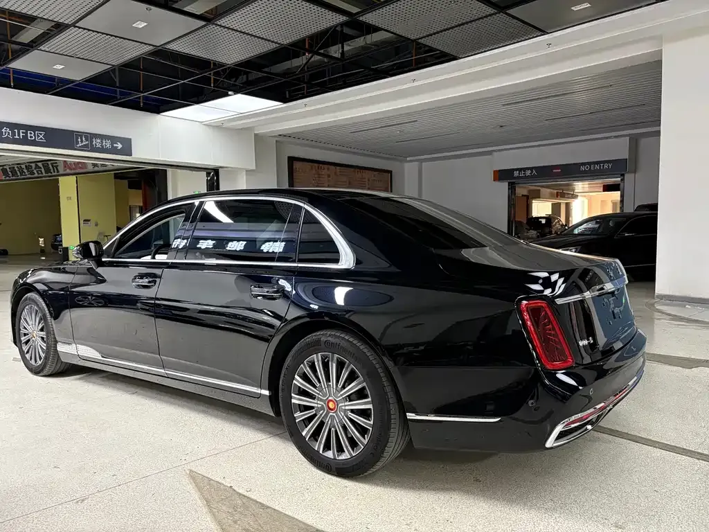 Hongqi Hongqi Golden Sunflower Guoya — фото 10