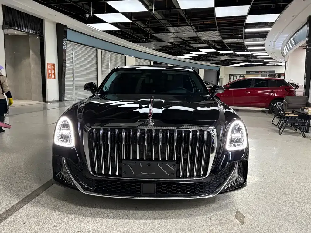 Hongqi Hongqi Golden Sunflower Guoya — фото 4