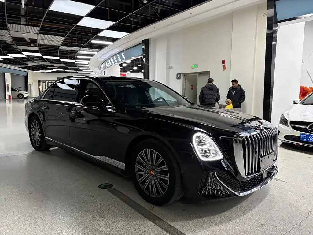 Hongqi Hongqi Golden Sunflower Guoya — фото 2