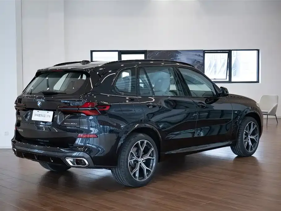 BMW X5 — фото 10