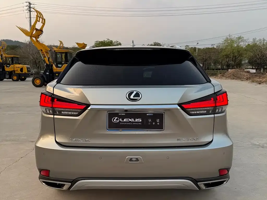 Lexus RX — фото 2