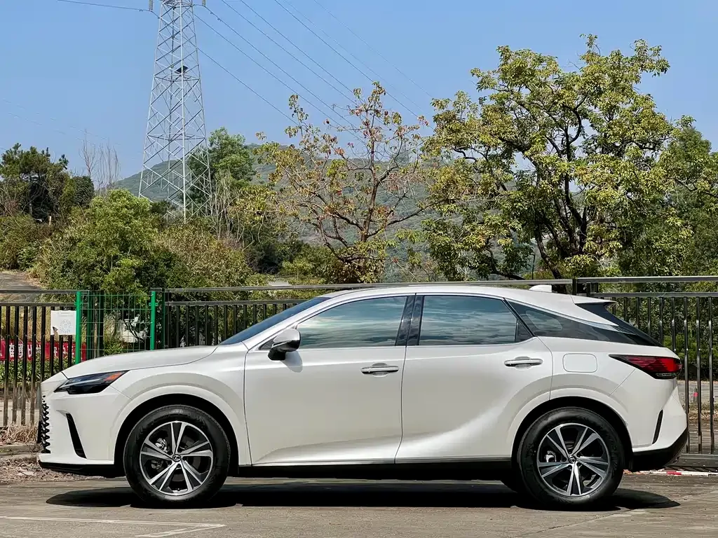 Lexus RX — фото 10