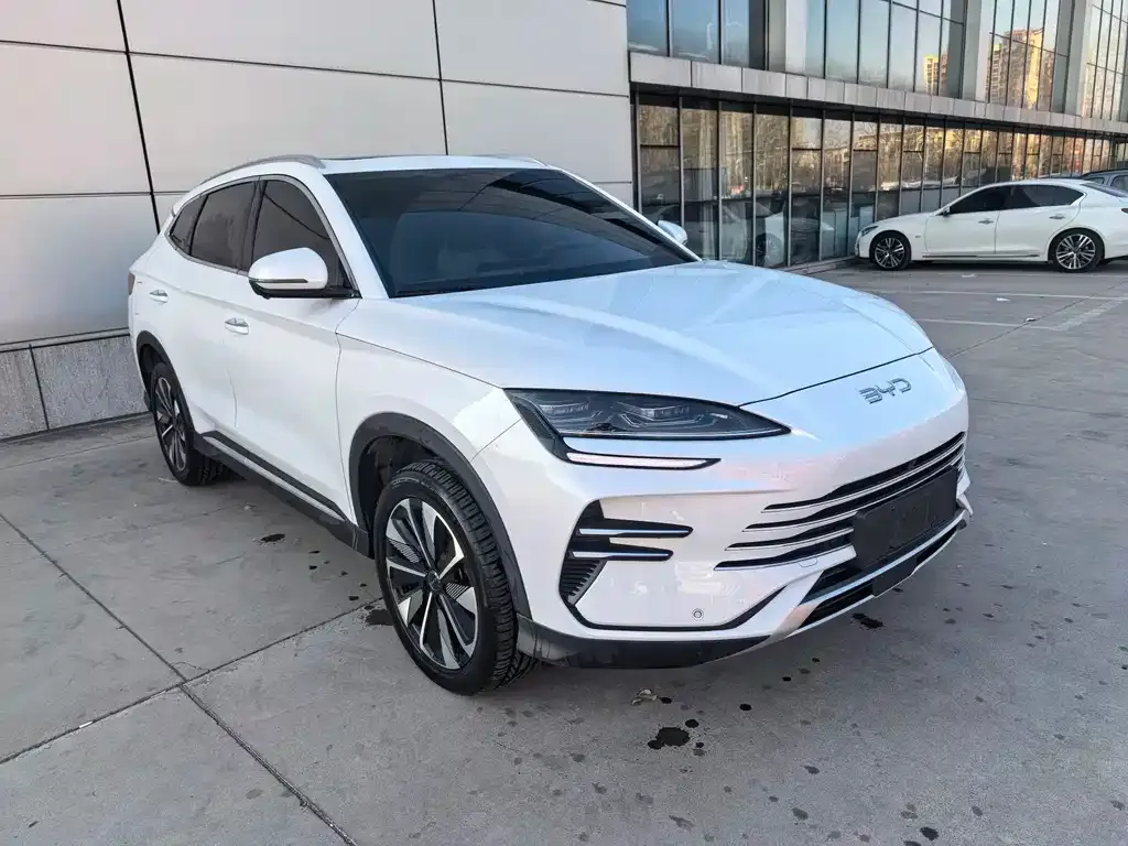 BYD PLUS New Energy — фото 3