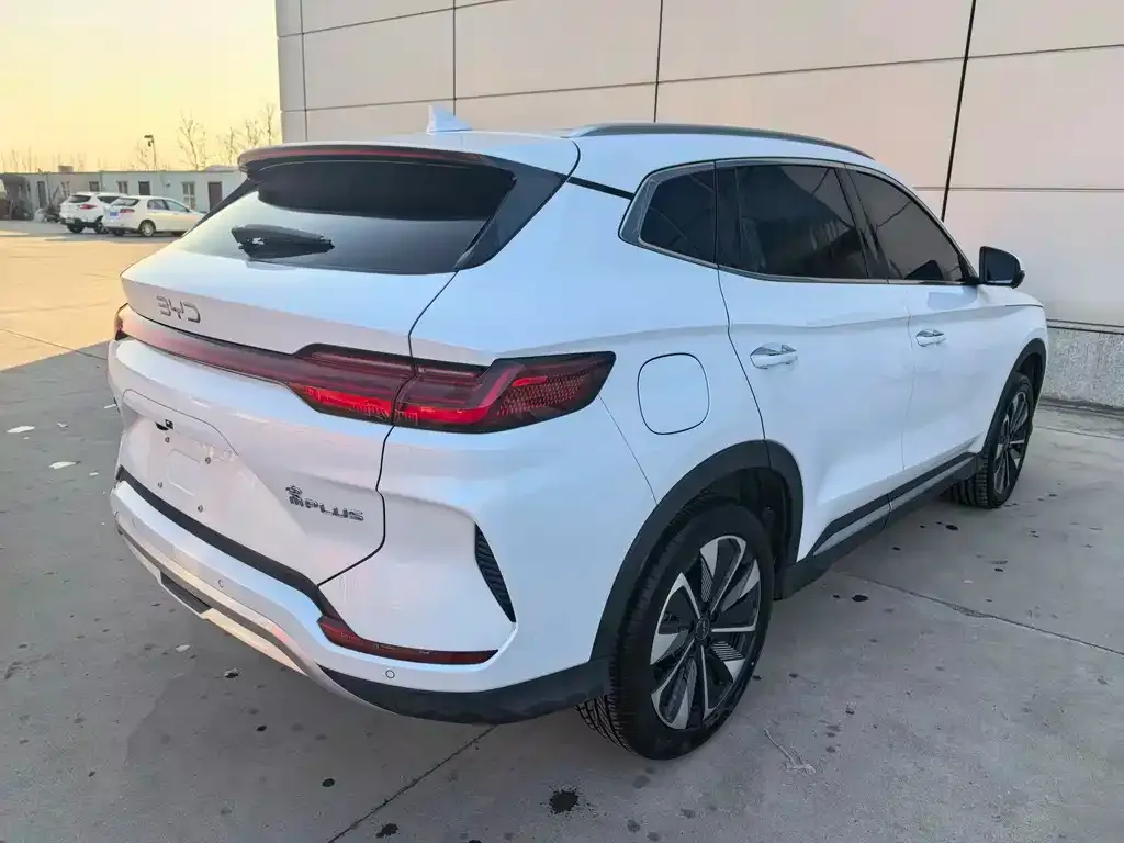 BYD PLUS New Energy — фото 4