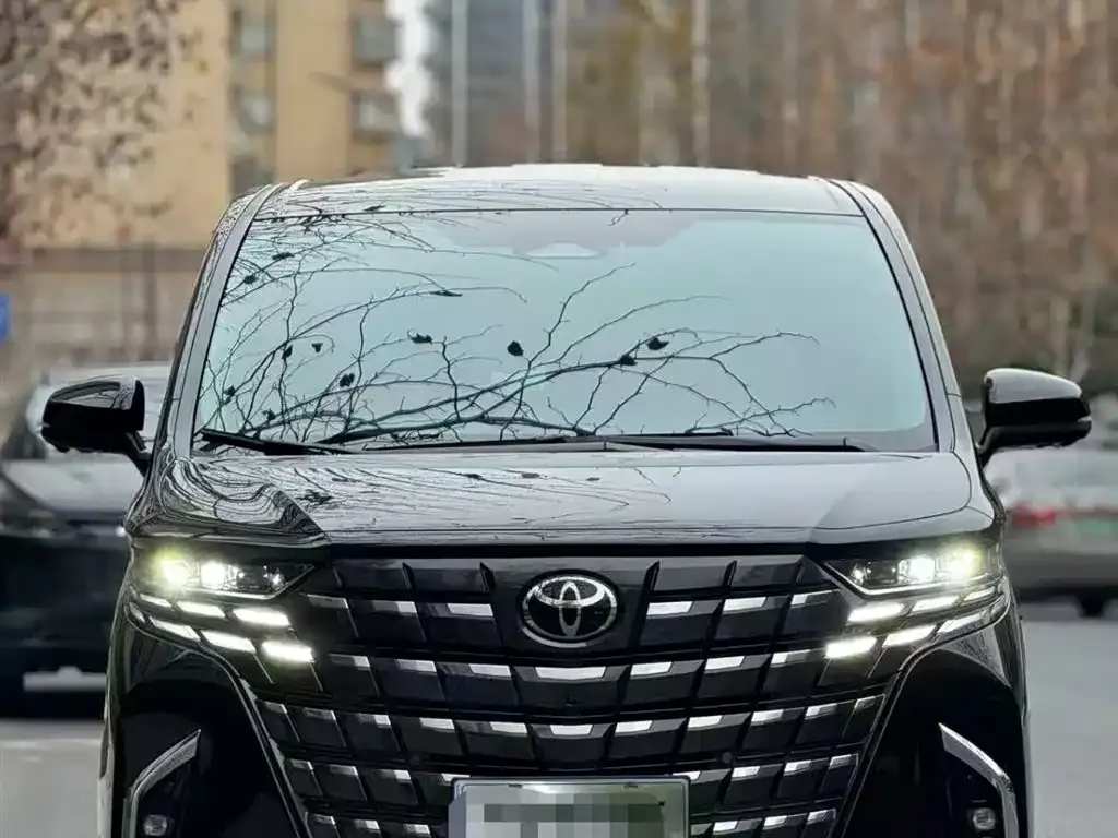 Toyota Alphard — фото 8