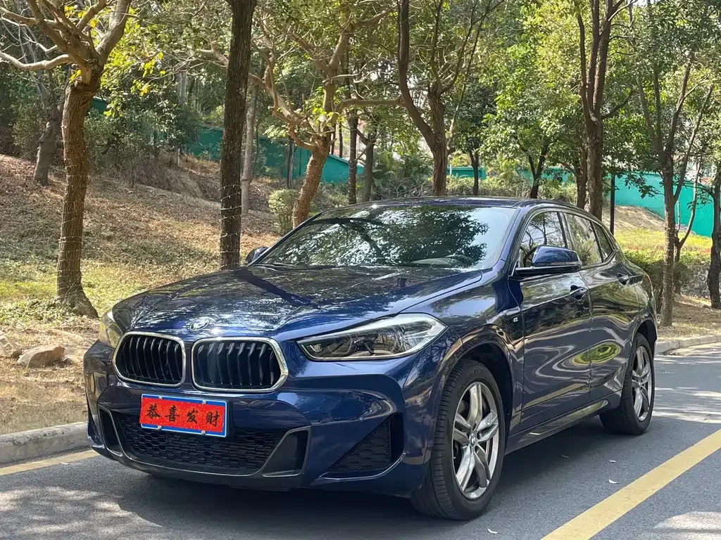 BMW X2 — фото 1