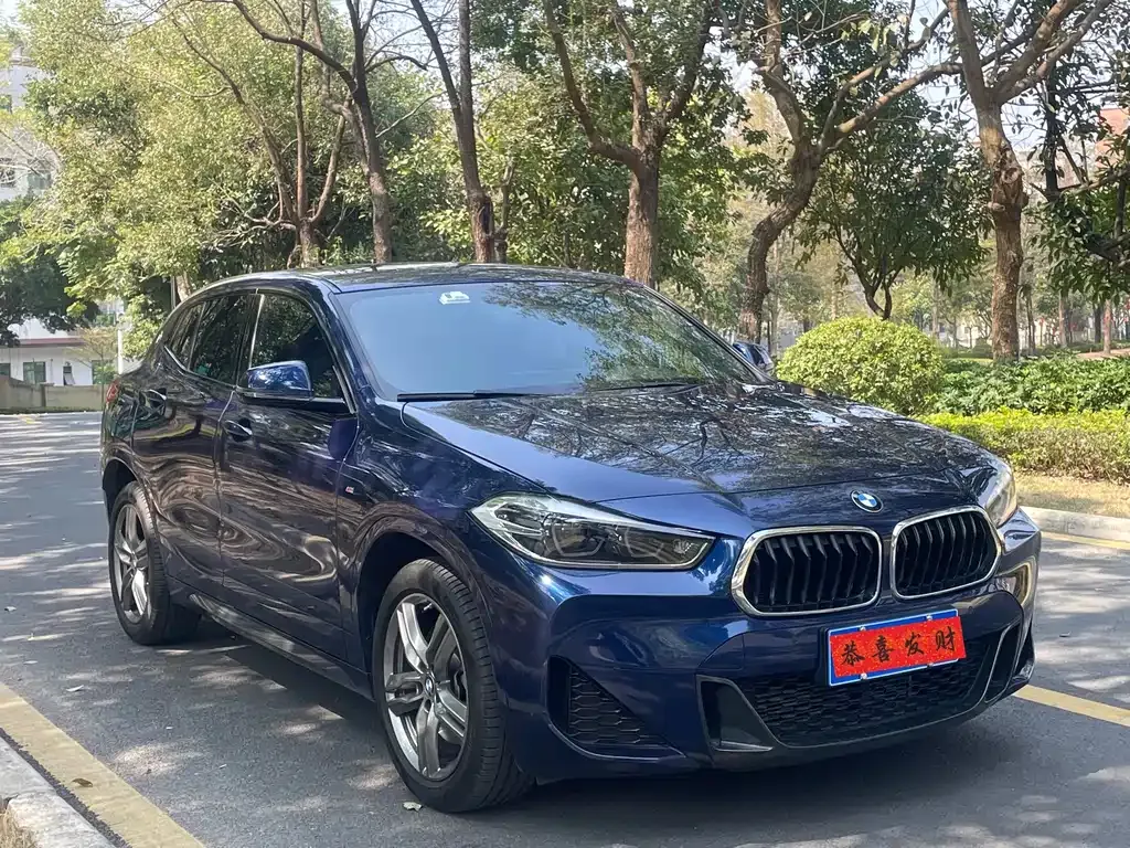 BMW X2 — фото 10