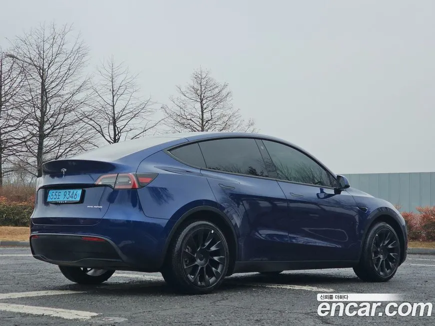 Tesla Model Y — фото 2