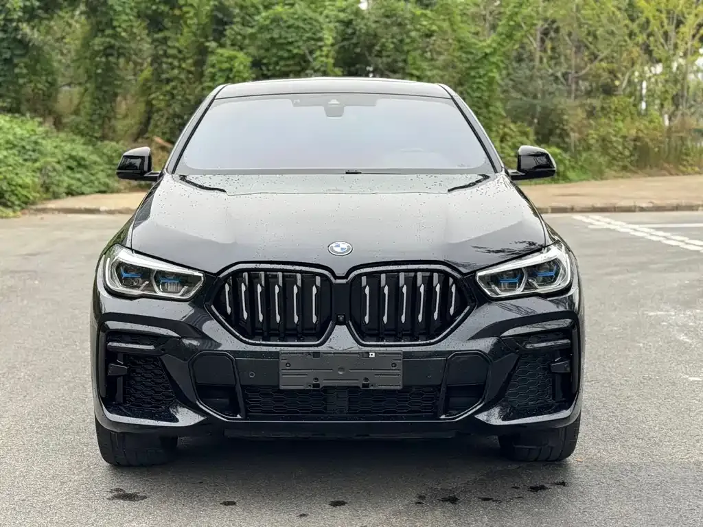 BMW X6 — фото 2