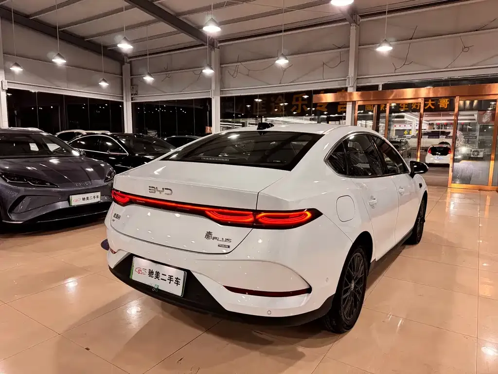 BYD Qin PLUS — фото 3