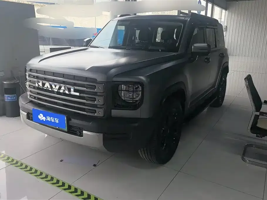 Haval Menglong New Energy — фото 1