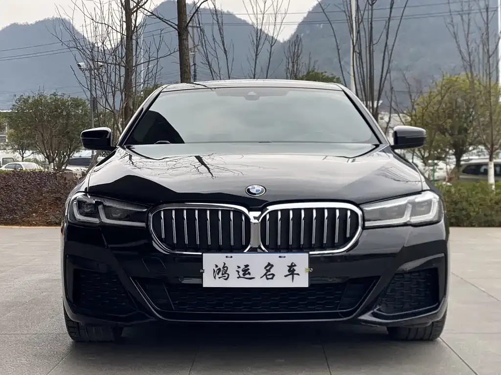 BMW 5 Series (Import) — фото 2