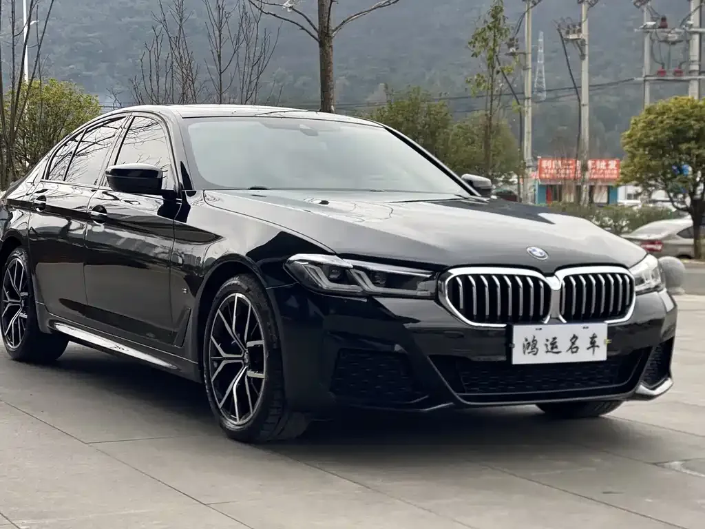 BMW 5 Series (Import) — фото 6