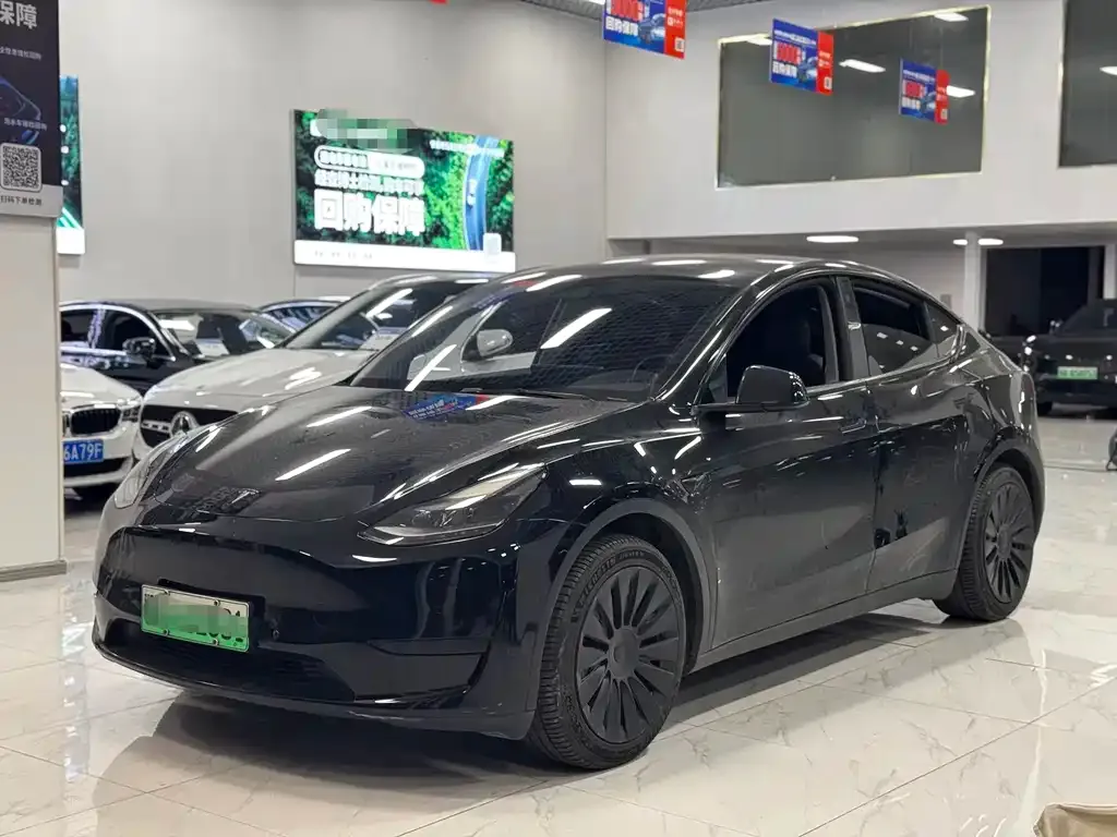 Tesla Model Y — фото 1