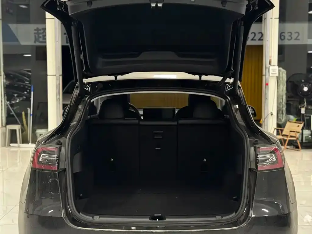 Tesla Model Y — фото 2