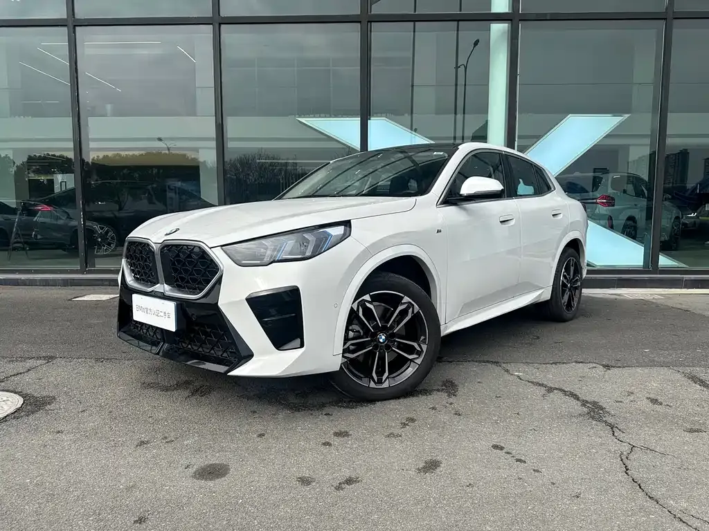 BMW X2 (Import) — фото 1
