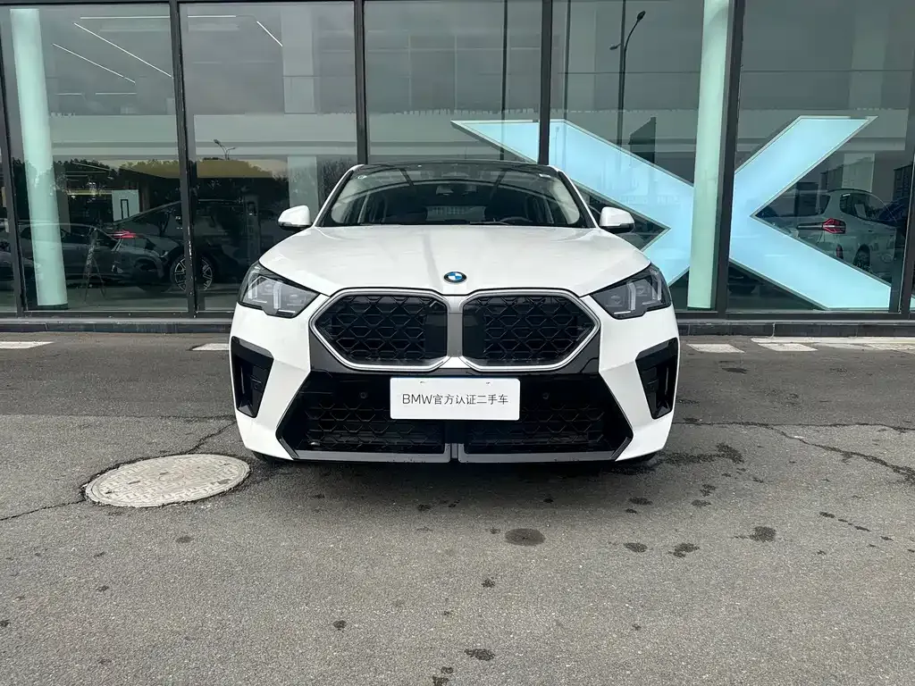 BMW X2 (Import) — фото 2