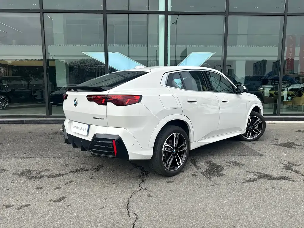 BMW X2 (Import) — фото 10