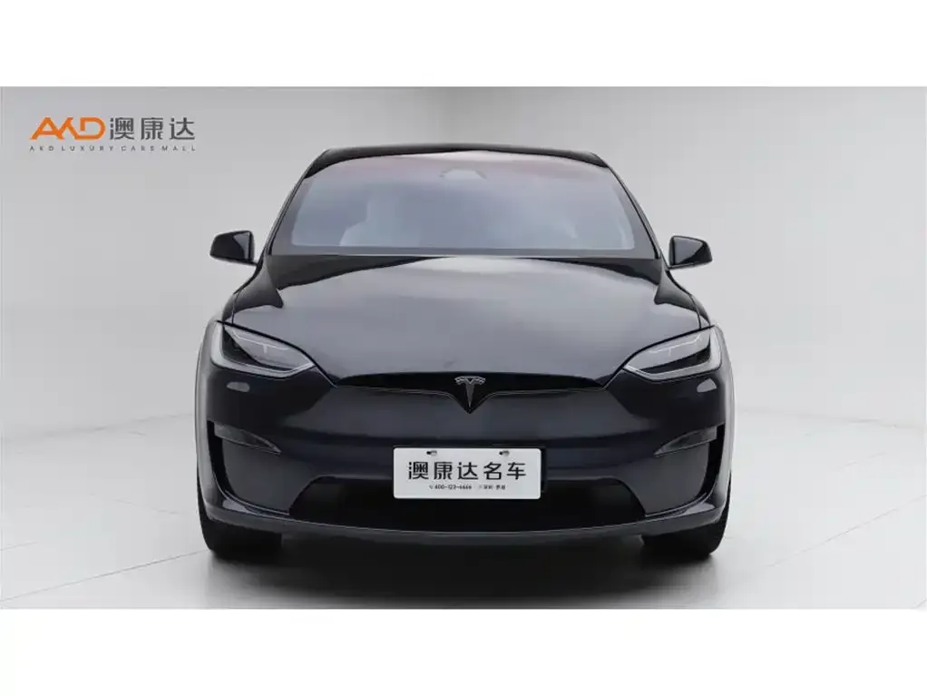 Tesla Model X — фото 9