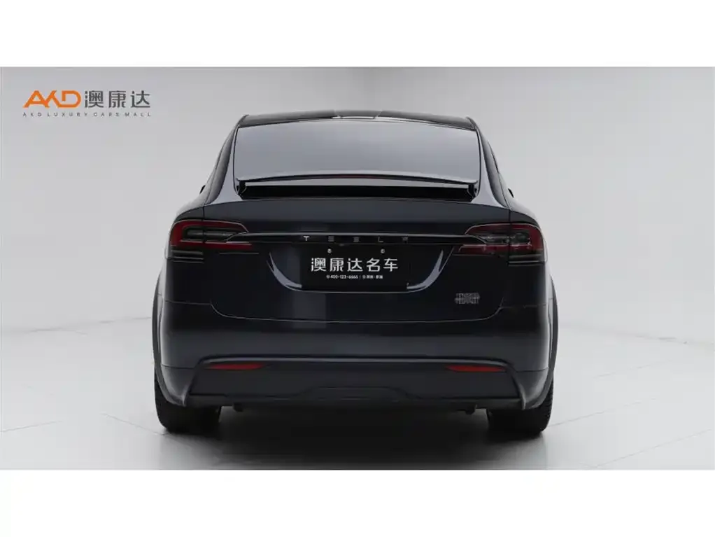 Tesla Model X — фото 8