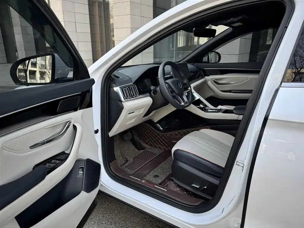 BYD PLUS New Energy — фото 5