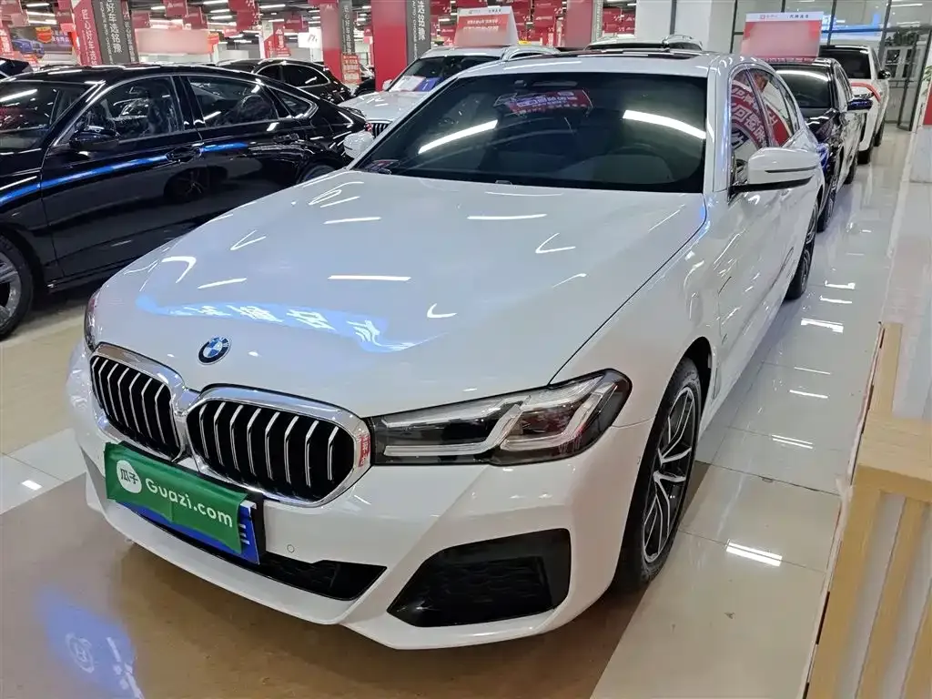 BMW 5 Series New Energy — фото 4