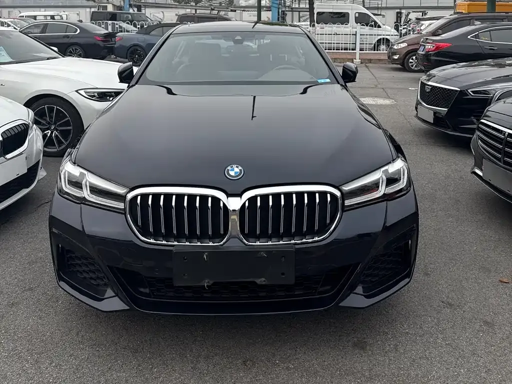 BMW 5 Series New Energy — фото 1