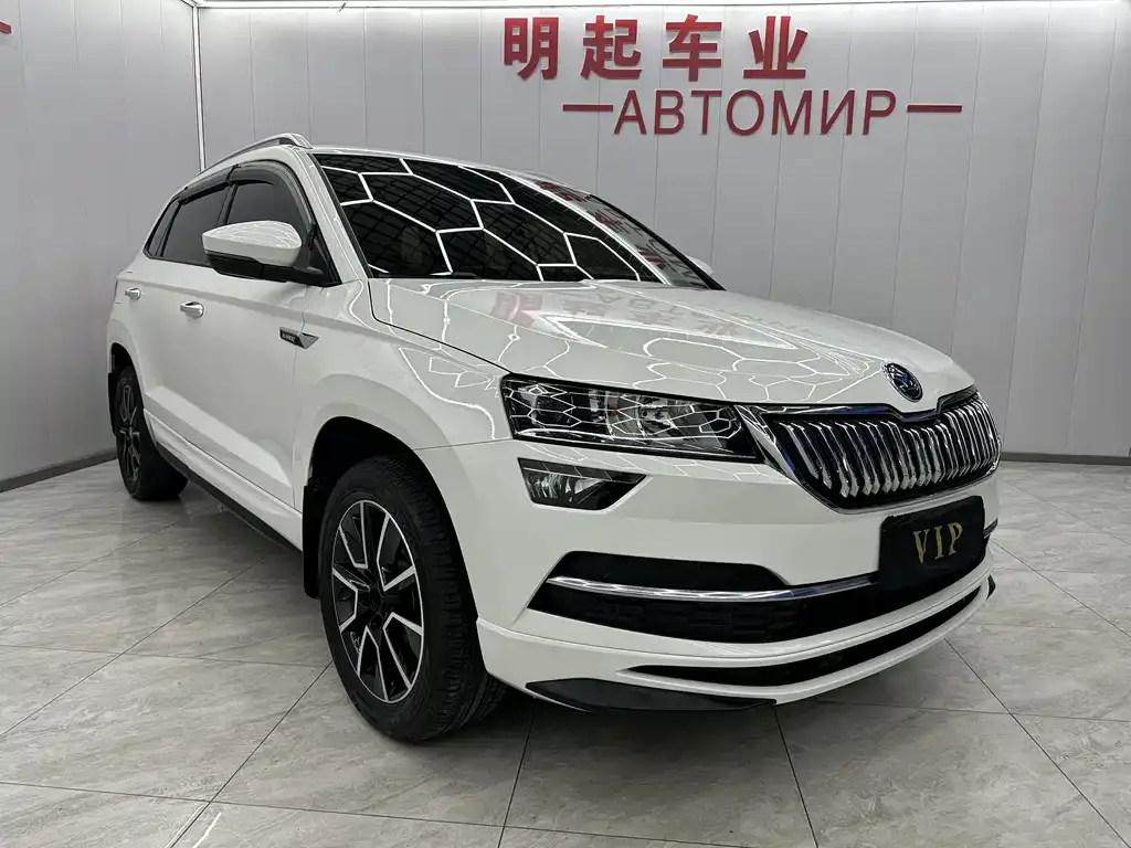 Skoda Karoq — фото 10