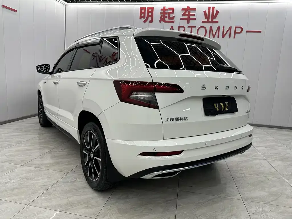 Skoda Karoq — фото 5