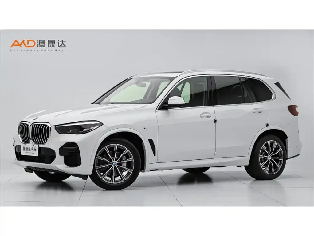 BMW X5 (Import) — фото 1