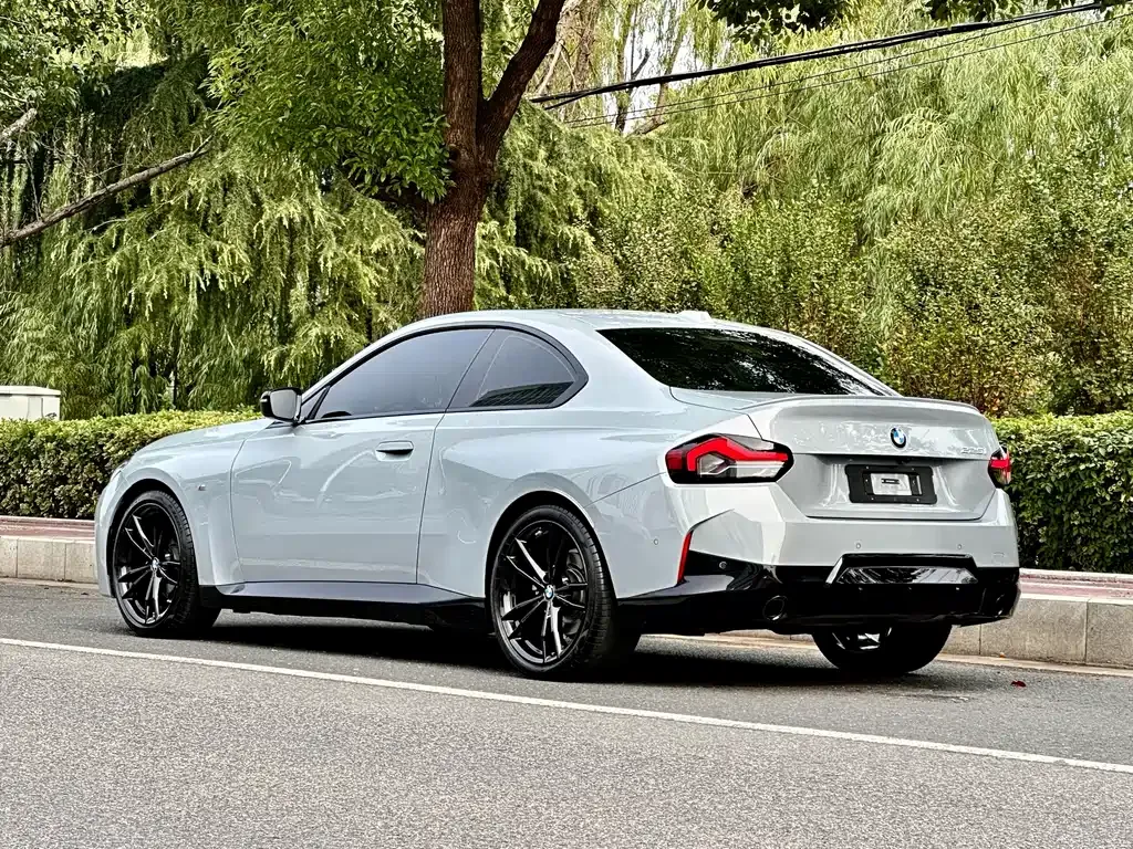 BMW 2 Series (Import) — фото 9