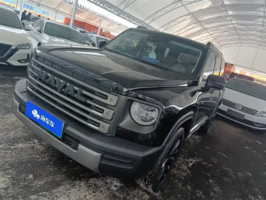 Haval Menglong New Energy — фото 1