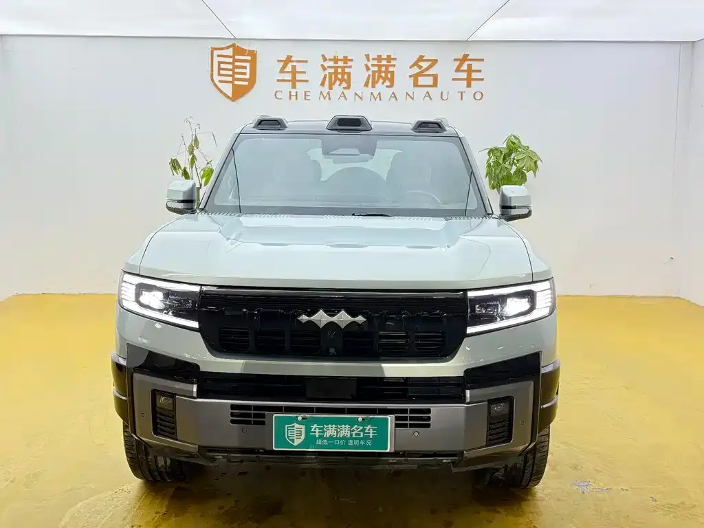 Fang Cheng Bao Leopard 8 — фото 8