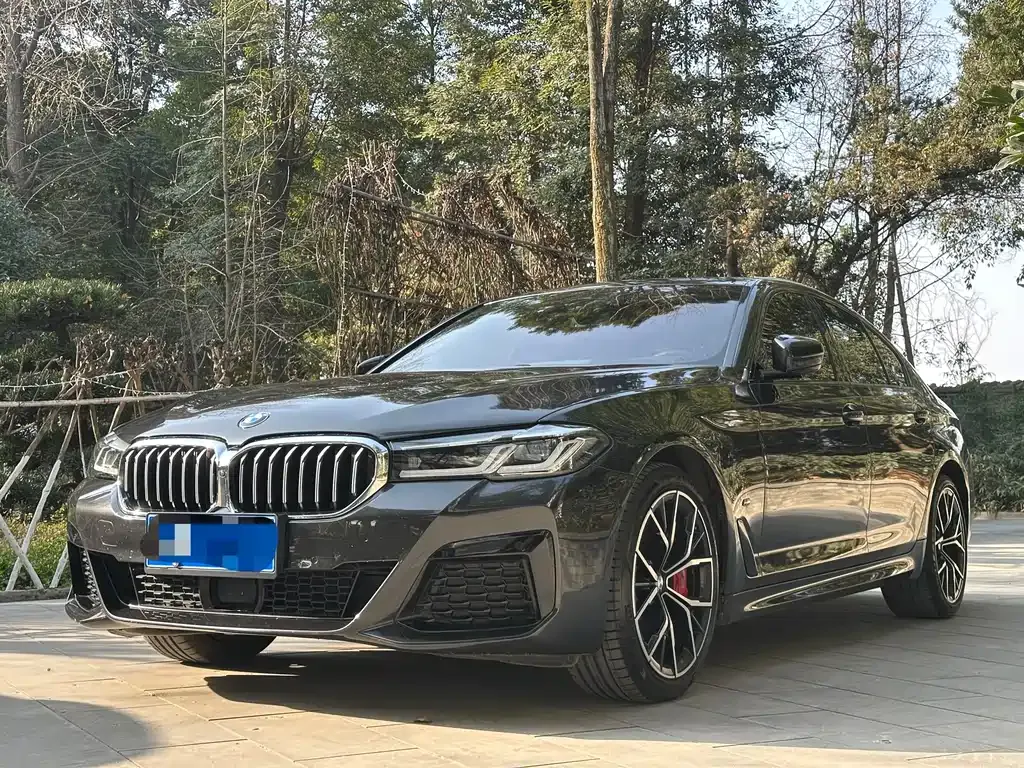 BMW 5 Series (Import) — фото 1