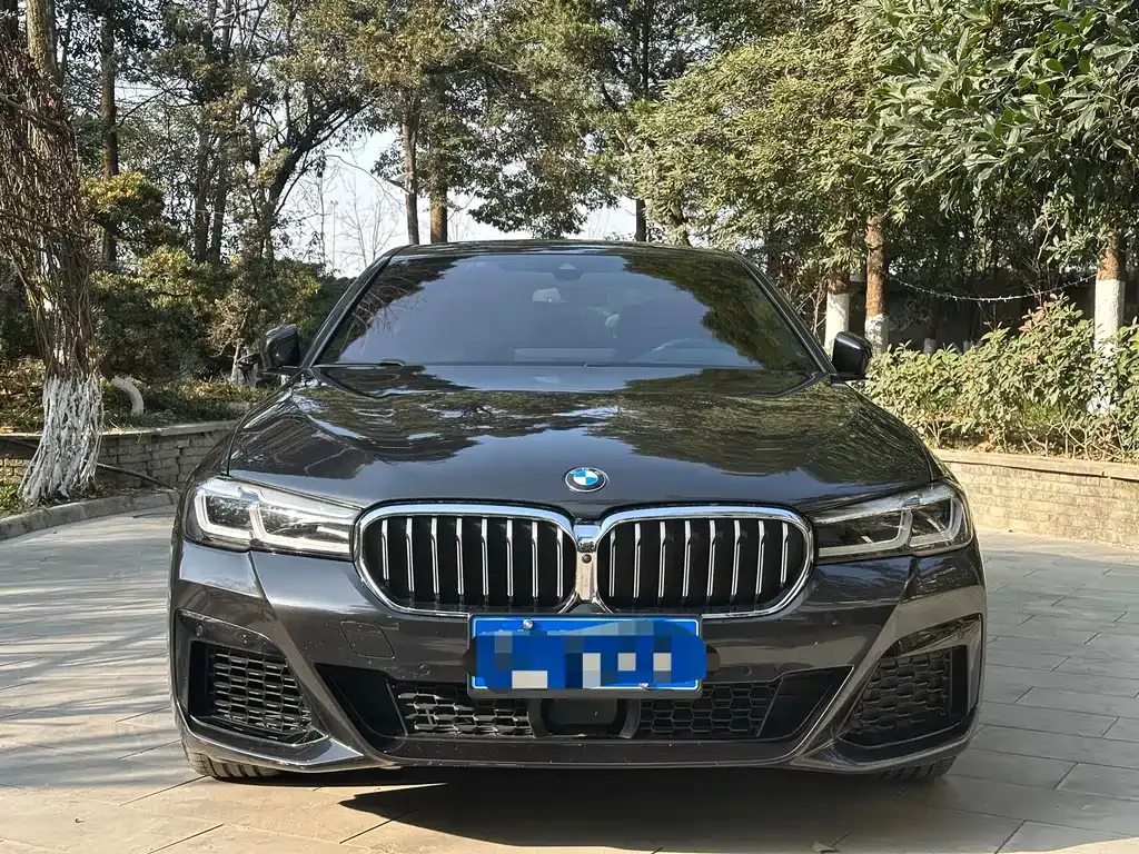 BMW 5 Series (Import) — фото 2