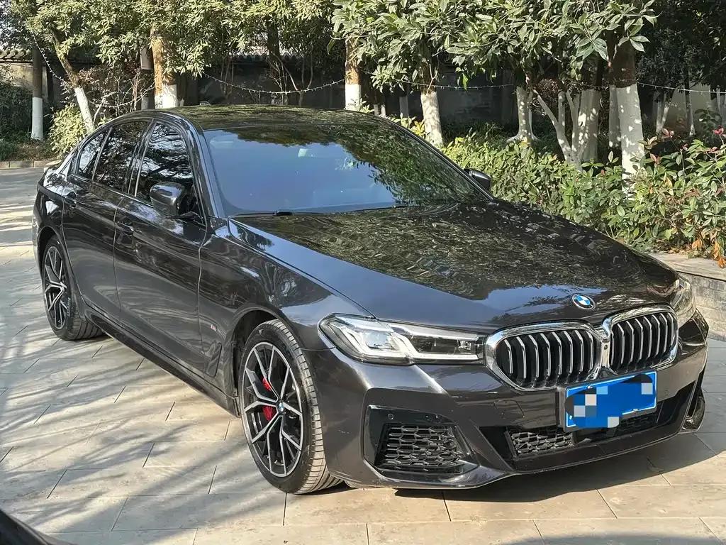 BMW 5 Series (Import) — фото 4