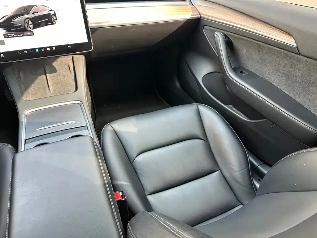 Tesla Model 3 — фото 2
