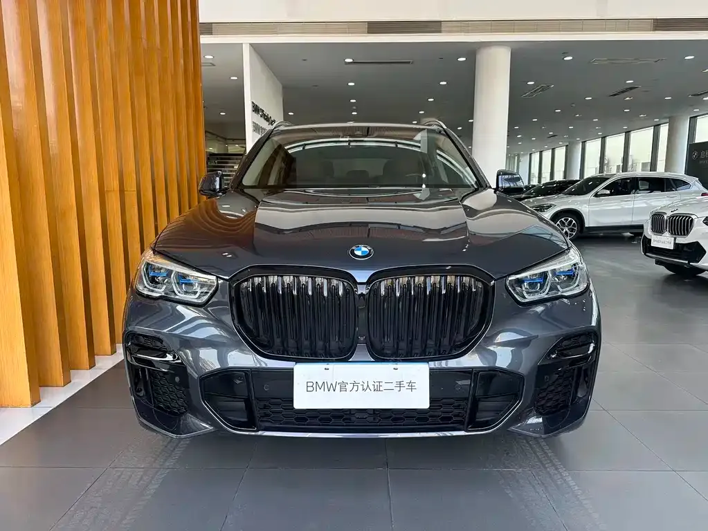 BMW X5 (Import) — фото 8